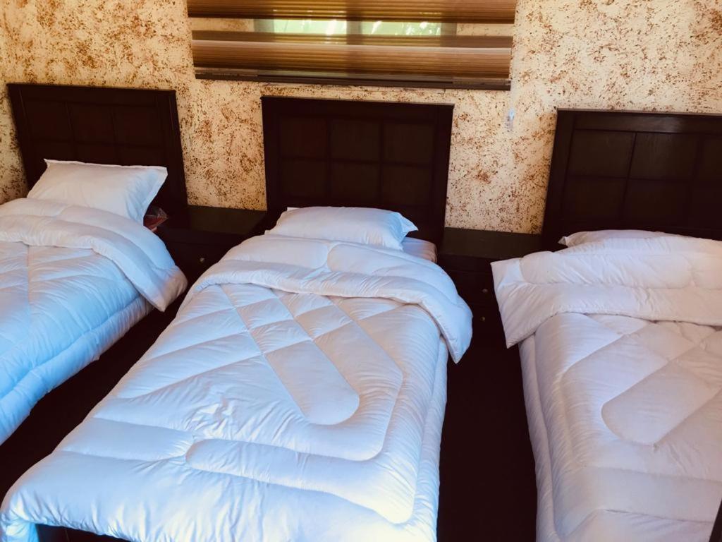 Guest House Attallah Ουάντι Μούσα Εξωτερικό φωτογραφία